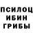 Галлюциногенные грибы Psilocybine cubensis Jandos Ripoff