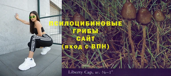 MDMA Алексин