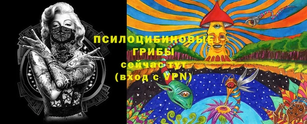 ешки Алексеевка