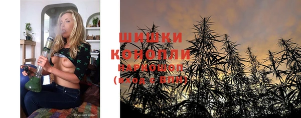 ГАЛЛЮЦИНОГЕННЫЕ ГРИБЫ Сафоново
