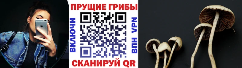 Галлюциногенные грибы Magic Shrooms  Белебей 